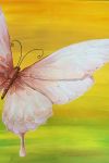 Schmetterling_60x60.jpg